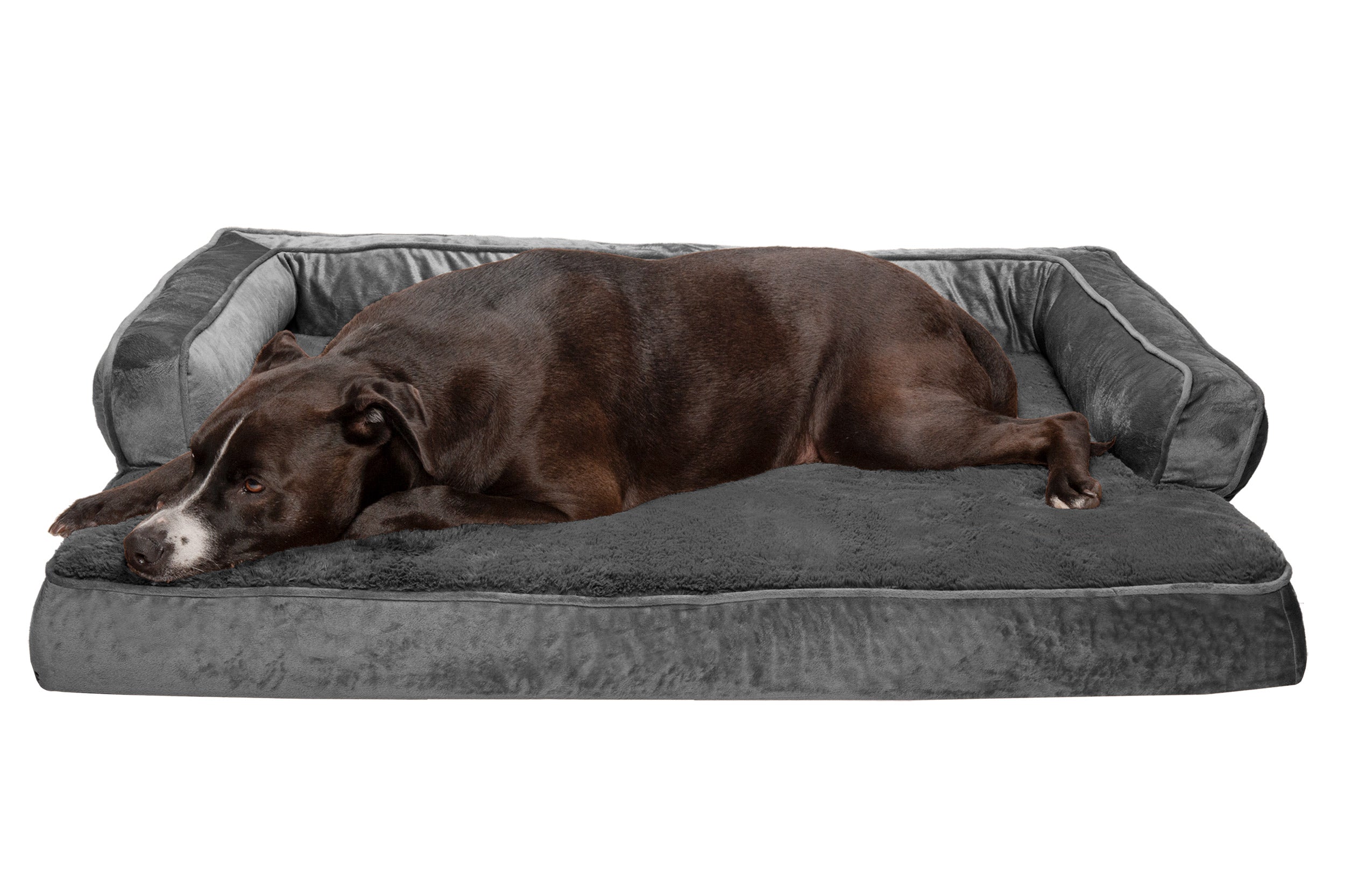 Sofa Dog Bed – Plush & Velvet Comfy Couch – mirellafuentes