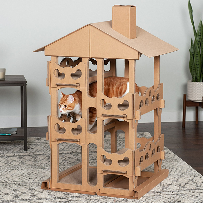 Cat Playgrounds